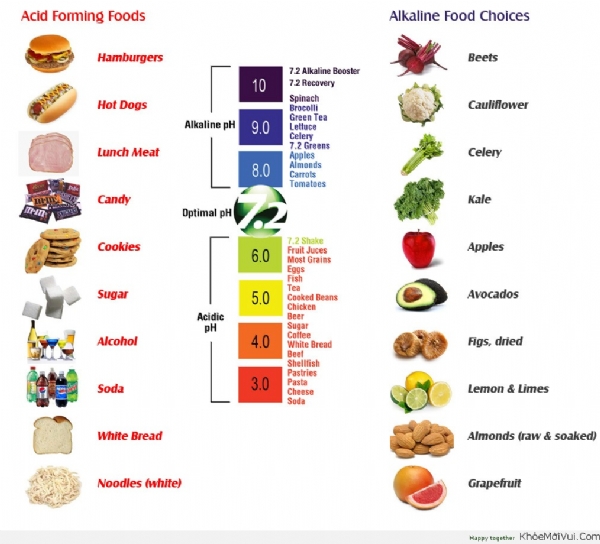 THỰC PHẨM TÍNH KIỀM-AXIT ẢNH HƯỞNG ĐẾN SỨC KHỎE CỦA BẠN NHƯ THẾ NÀO? 