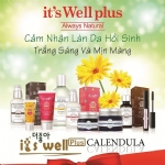 Calendula Gift